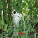 IMG_8776300X300.png